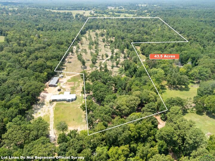 Property Photo: Tbd N Cr 2132 TX 75691