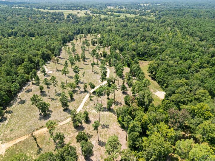 Property Photo:  Tbd N Cr 2132  TX 75691 