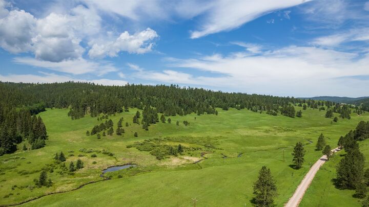 Property Photo:  14.5 Acres N Rochford Road  SD 57754 