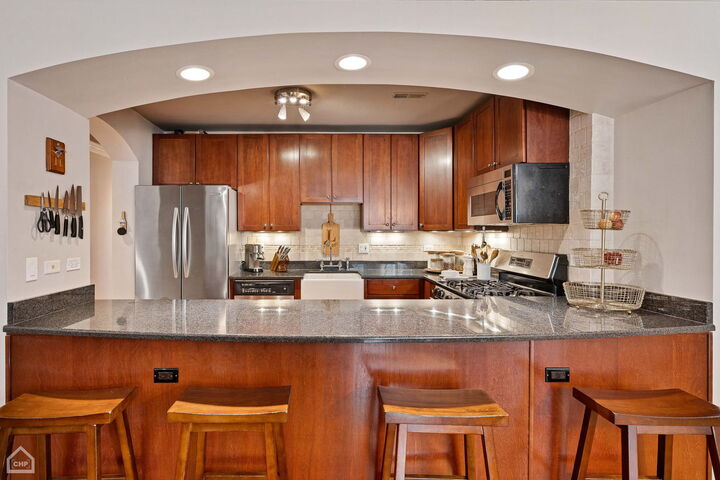 Property Photo: 1426 N Orleans Street 203 IL 60610