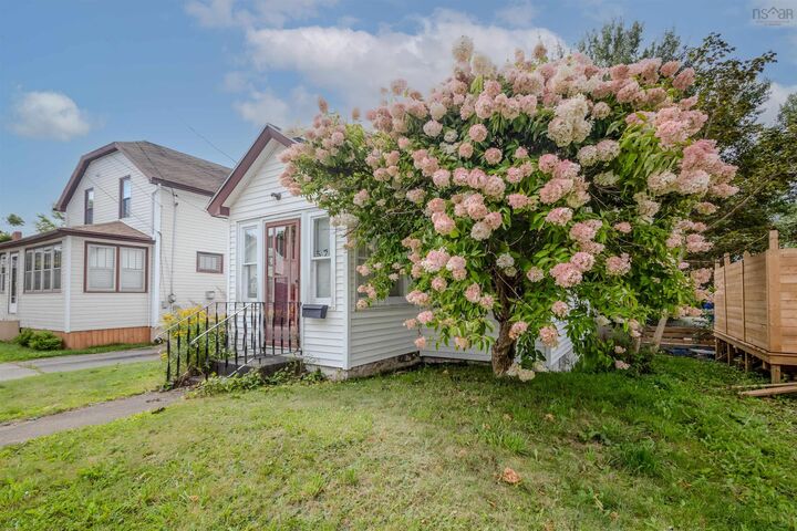 Property Photo:  52 Harrison Avenue  NS B1S 2Y2 