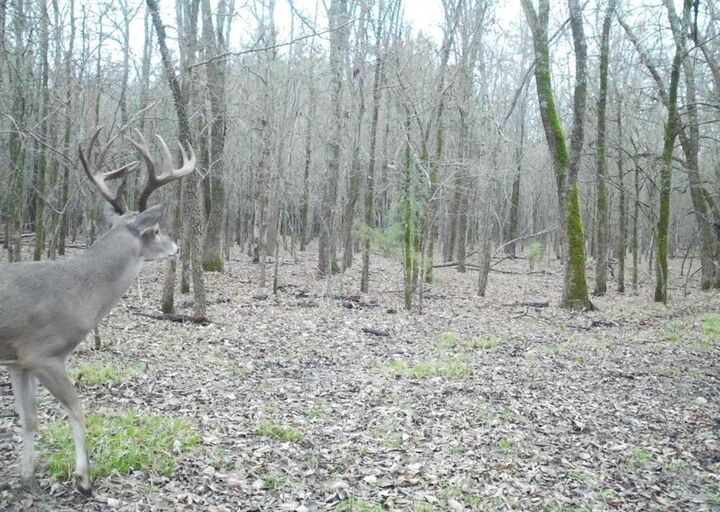 Property Photo:  80048 County Road 24200  TX 75477 