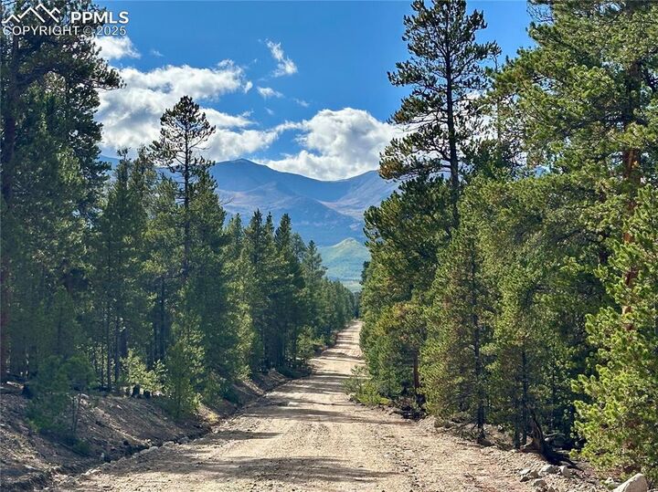 143 Fir Drive  Leadville CO 80461 photo