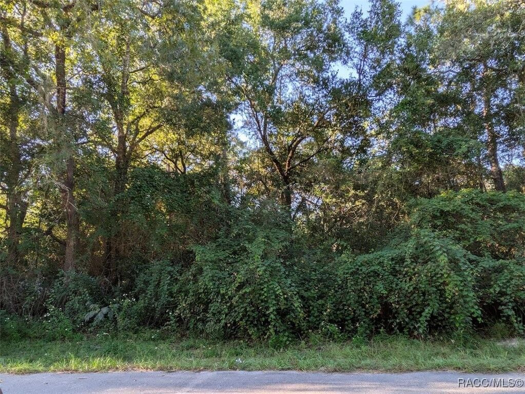Property Photo:  3248 E Scofield Street  FL 34453 