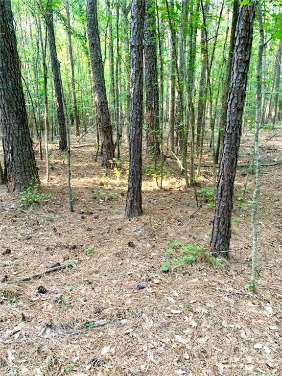 Property Photo:  0 Archer Grove School Road Tract B  GA 30607