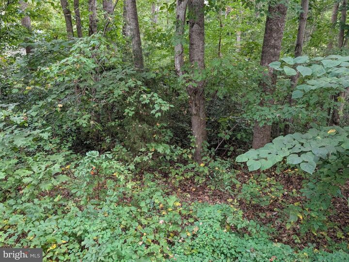 Property Photo:  203 Battlefield Road  VA 22508 