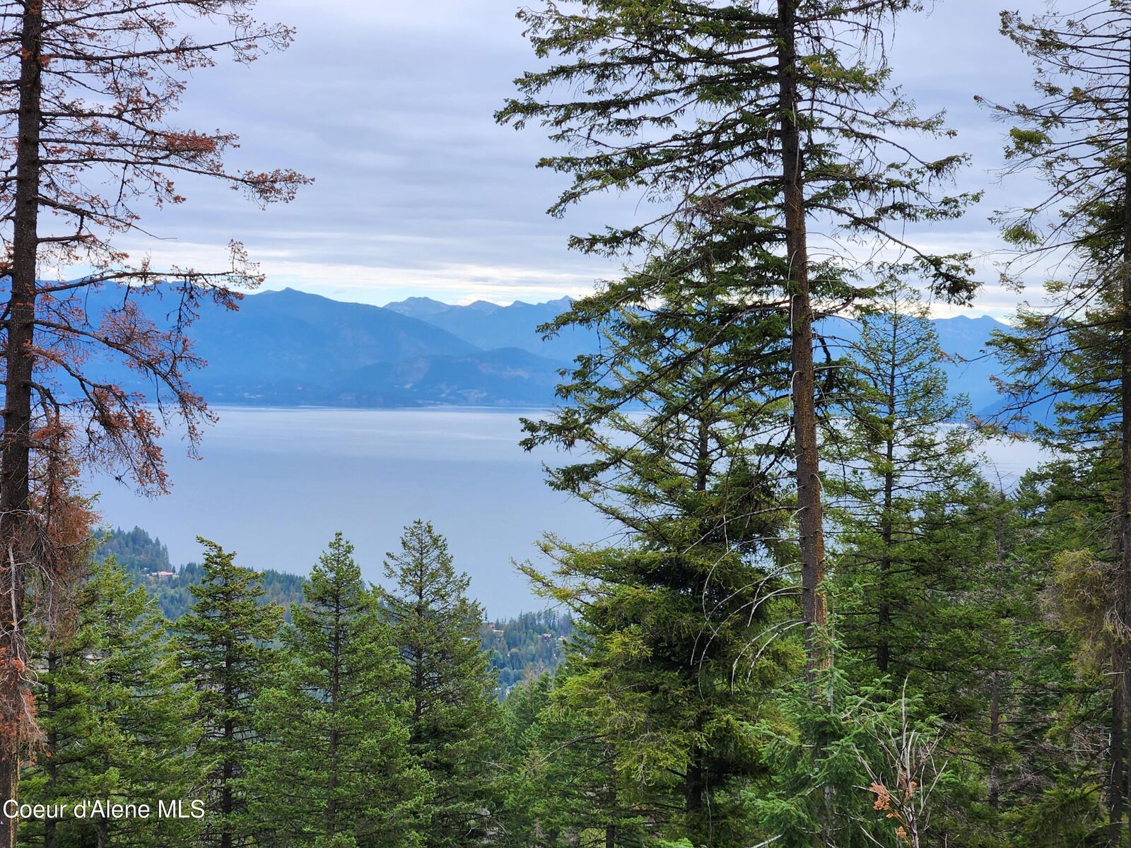 Property Photo:  Nna Talache Black Trail  ID 83860 