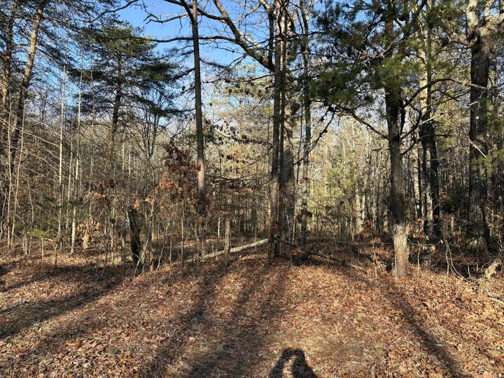 Property Photo:  3 Timber Ridge Drive  TN 37347 