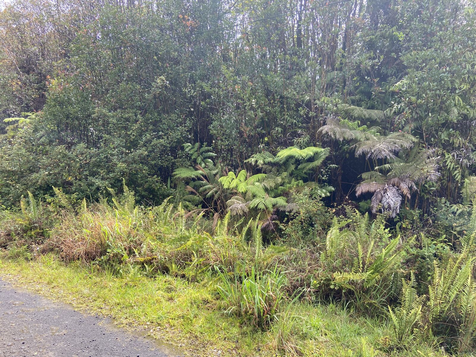 Property Photo:  Road 4  HI 96785 