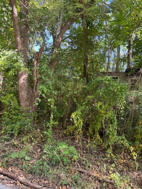 Property Photo: 0 Bradley Hollow Road TN 37083