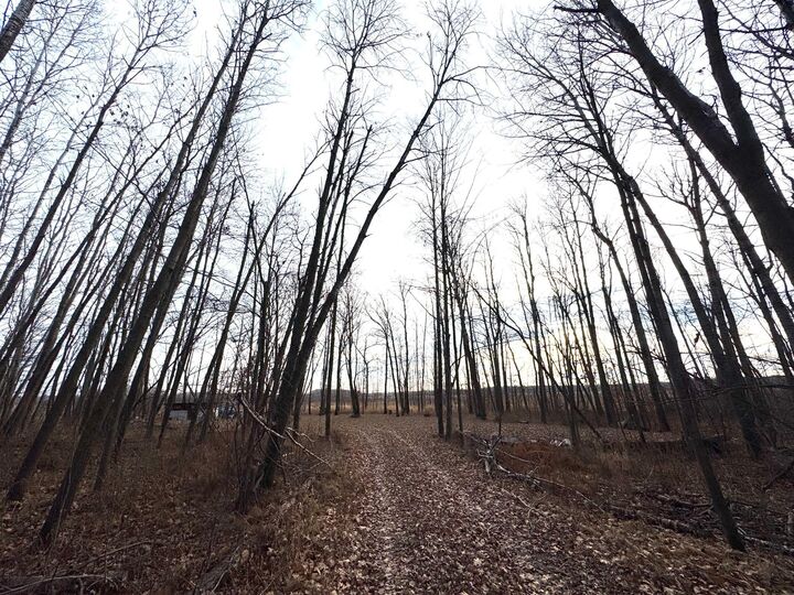 Property Photo: Xxxx Sherwood Street MN 55007