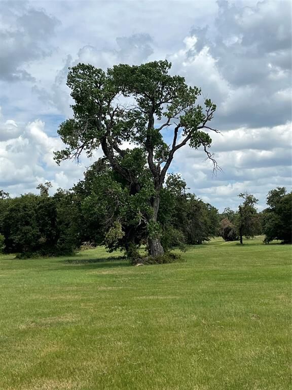 Property Photo:  300 Chandler Road  TX 76462 