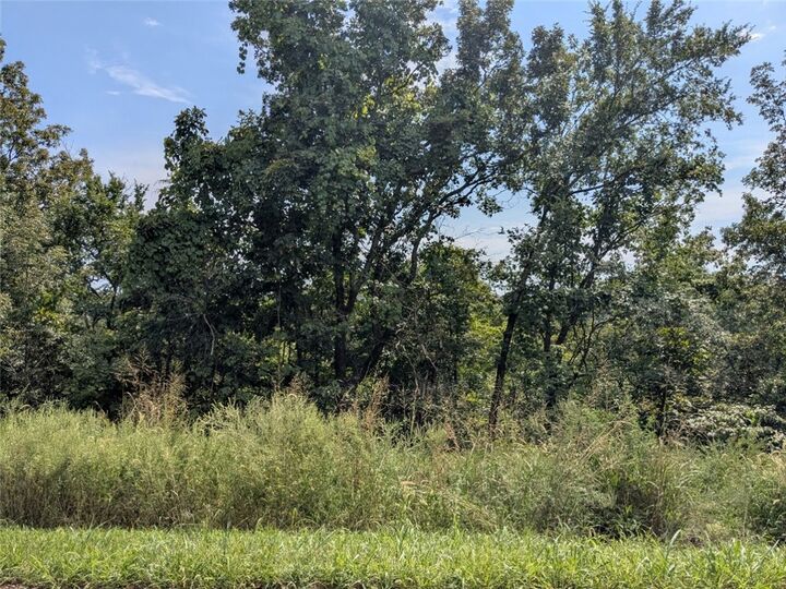 Property Photo:  35 Cypress Point Lane  AR 72631