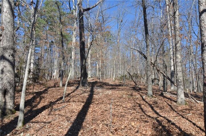 Property Photo:  62.68 Acres Cypress Lane  AR 72756 
