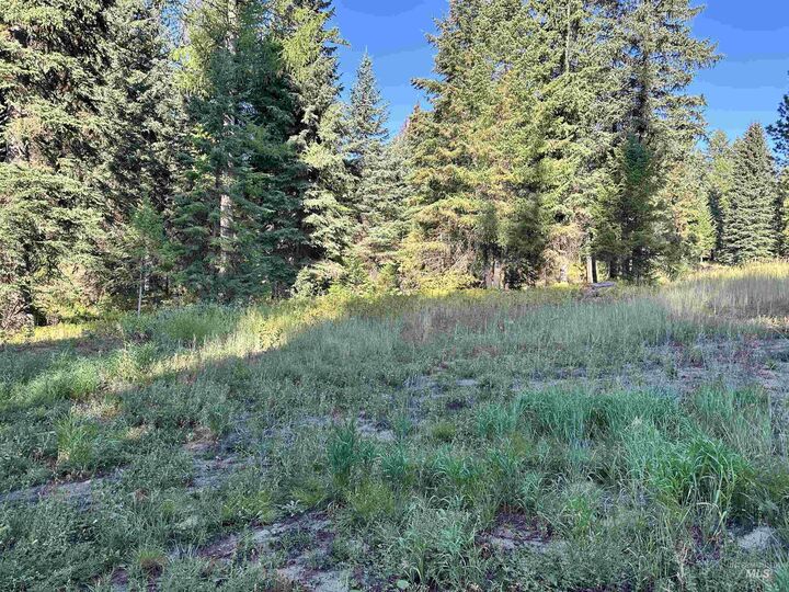 17 Andy  Donnelly ID 83615 photo