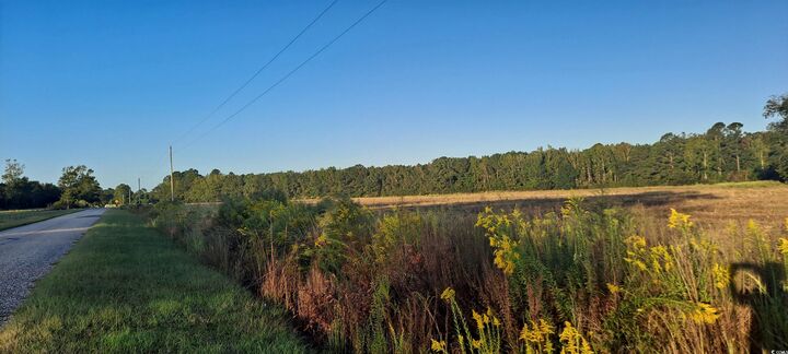Property Photo:  Tbd Wee Tee Rd.  SC 29510 