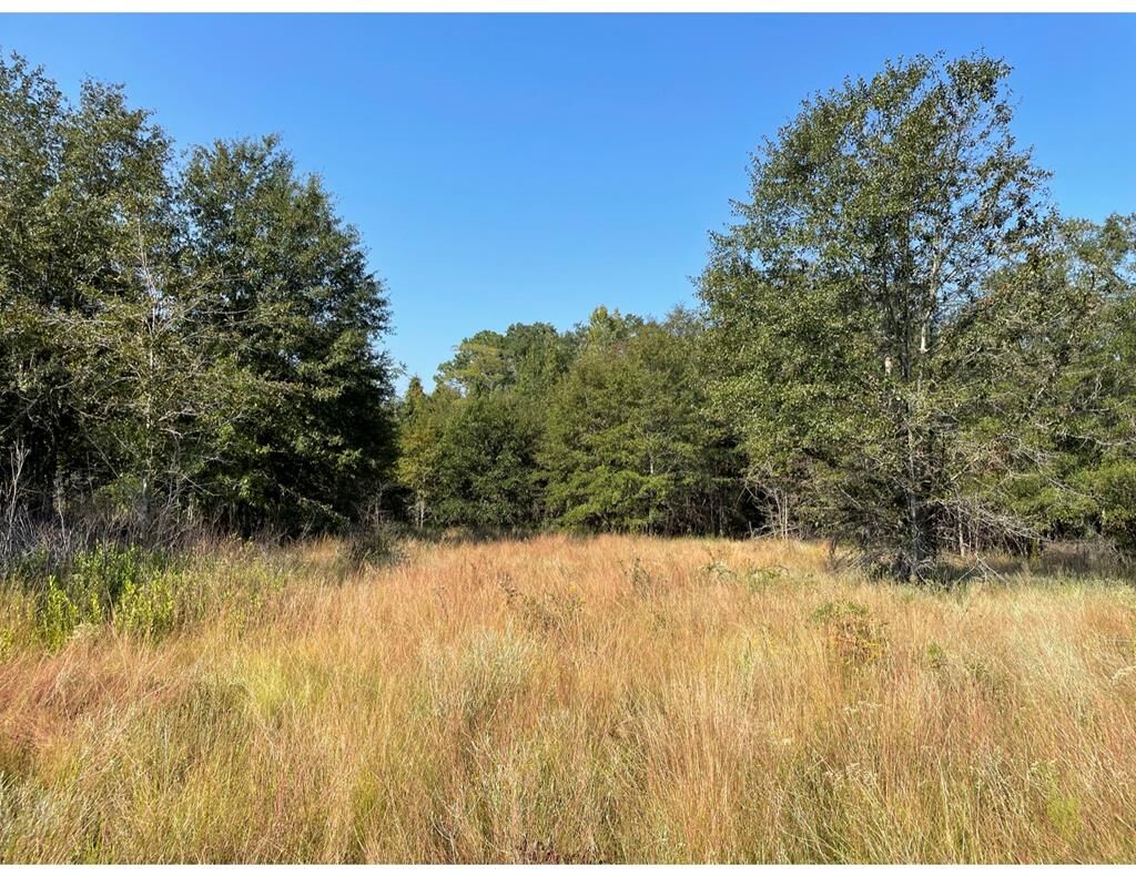 Property Photo:  0 Rebecca Waterloo Highway  GA 31783 