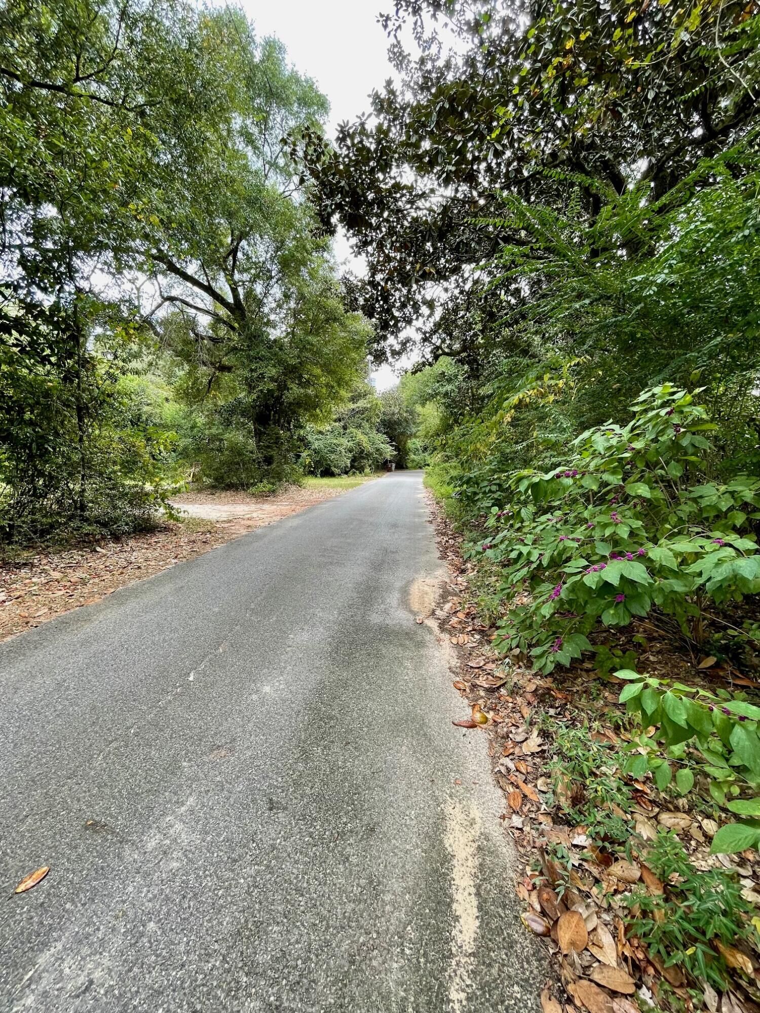 Property Photo:  Tbd St Joseph Street  FL 32583 