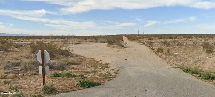 Property Photo:  Leticia Avenue  CA 93501 