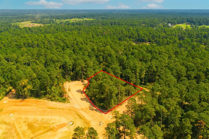 Property Photo:  3911 Augusta Drive  TX 77316 