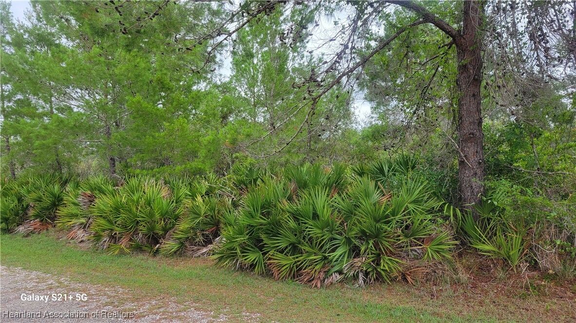 Property Photo: 3217 Savannah Sparrow Avenue FL 33852