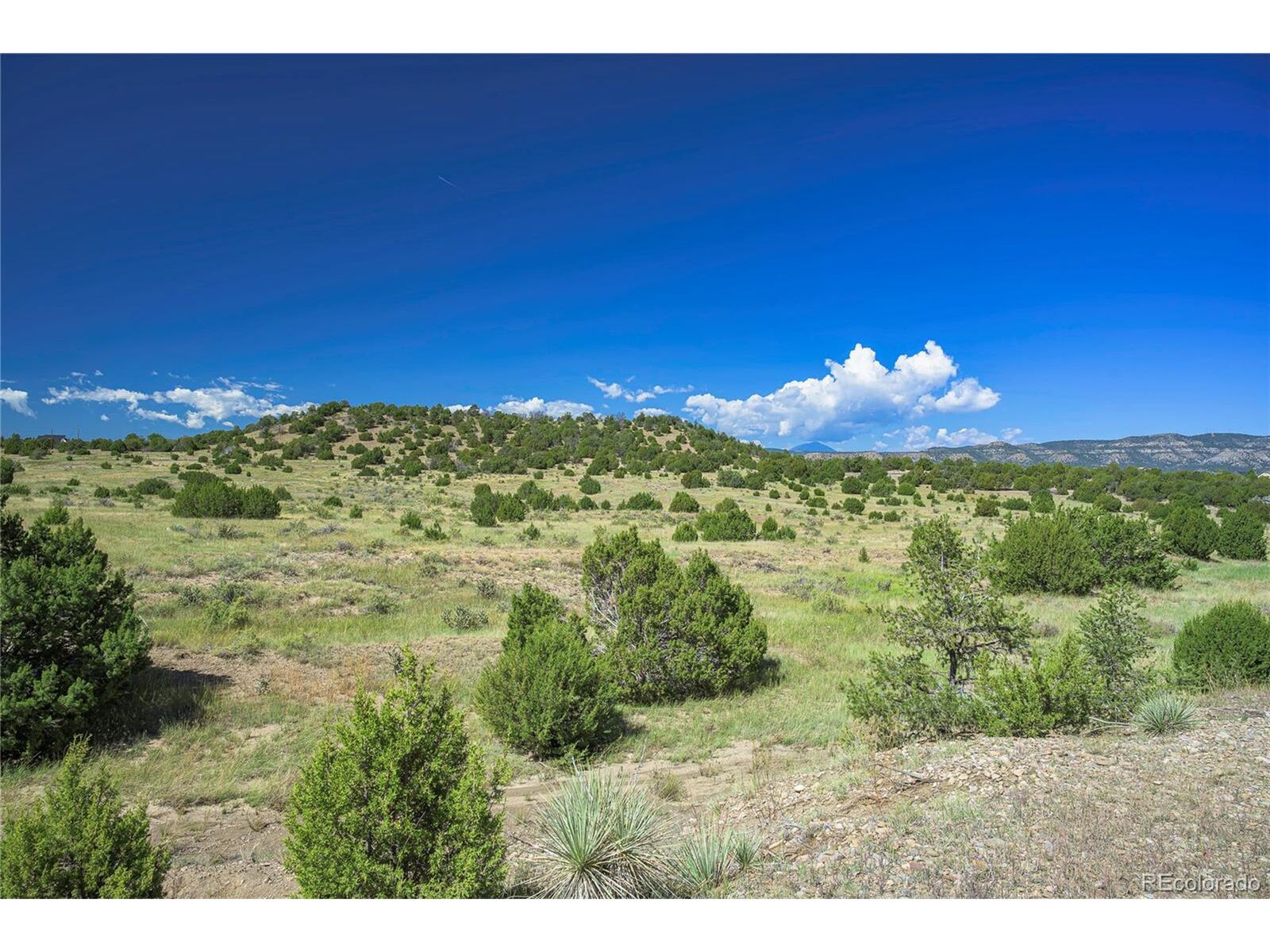 Property Photo:  13700 Corundum Rd  CO 81082 