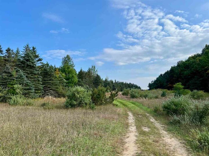 Property Photo:  00 Skinner Road  MI 49729 