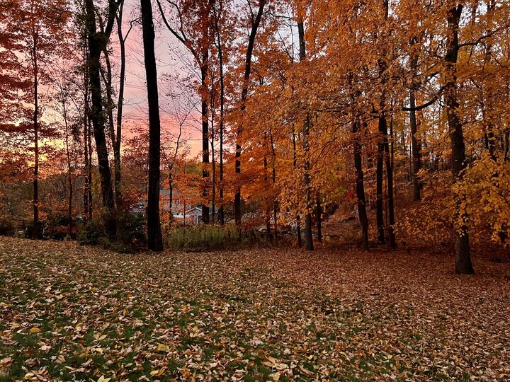 Property Photo:  9 Wintergreen Hill Road  CT 06811 