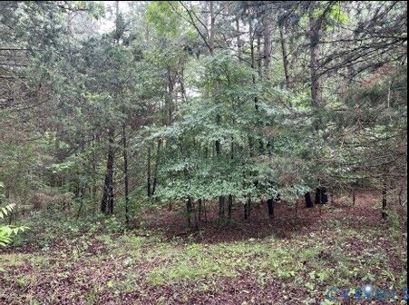 Property Photo: 0 Oakencroft Lane VA 23039