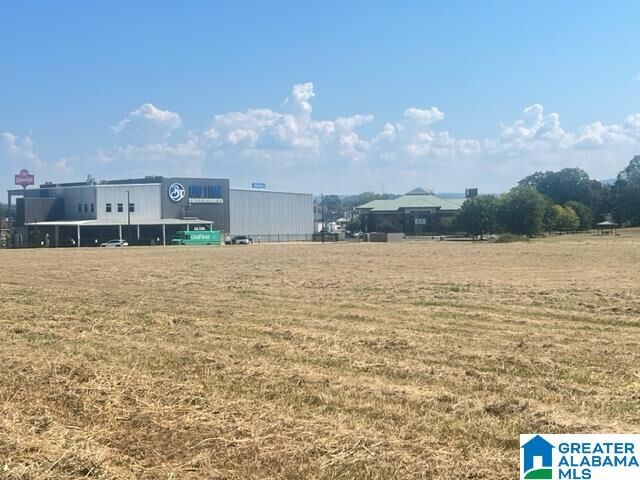Property Photo:  0 Elm Street M&Ampb  AL 36203 