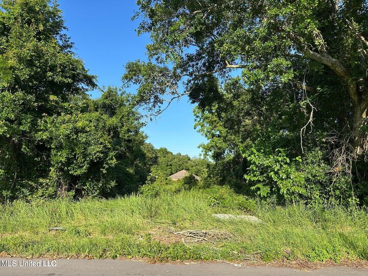 Property Photo:  0 49th Avenue  MS 39501