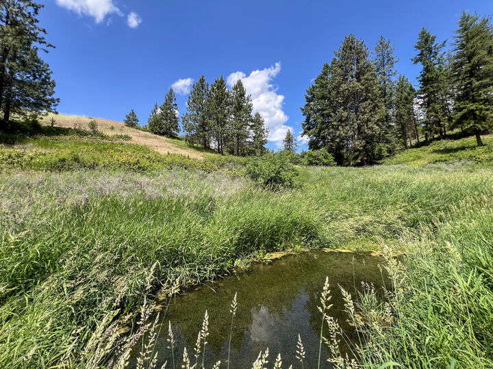 Property Photo:  598 N Hwy 395  WA 99141 