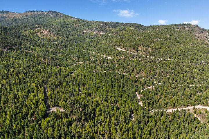 Property Photo: Nhn (Tract 10) Boon Road MT 59932