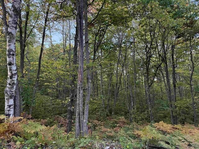 Property Photo: 000 Old Hwy 2 WI 54847