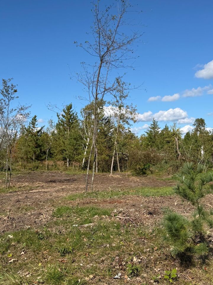 Property Photo: Tbd Moonlight Lane SW MN 56601