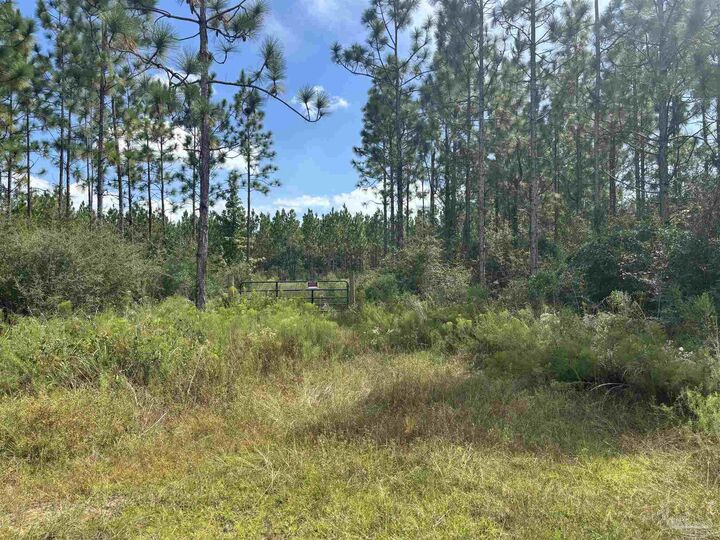 Property Photo:  3571 Autumn Ridge Road  FL 32570 