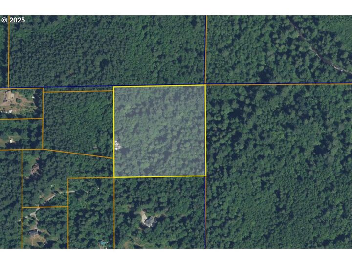 772 Thuja Narrow Rd  Washougal WA 98671 photo