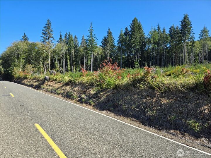 Property Photo:  0 Mp 15.5  Wishkah Road  WA 98520 