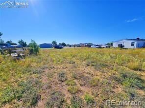 Property Photo: 23712 Redtail Drive CO 80928