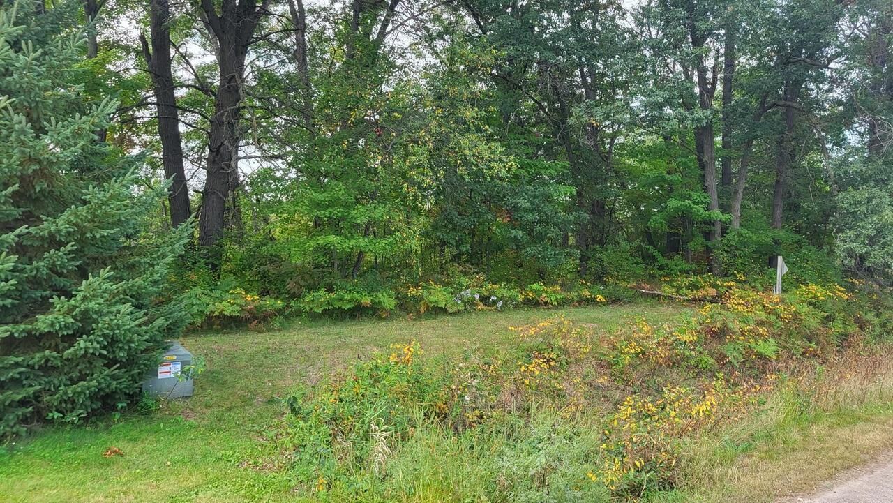Property Photo:  Lot 31 Tara Drive  WI 54660 