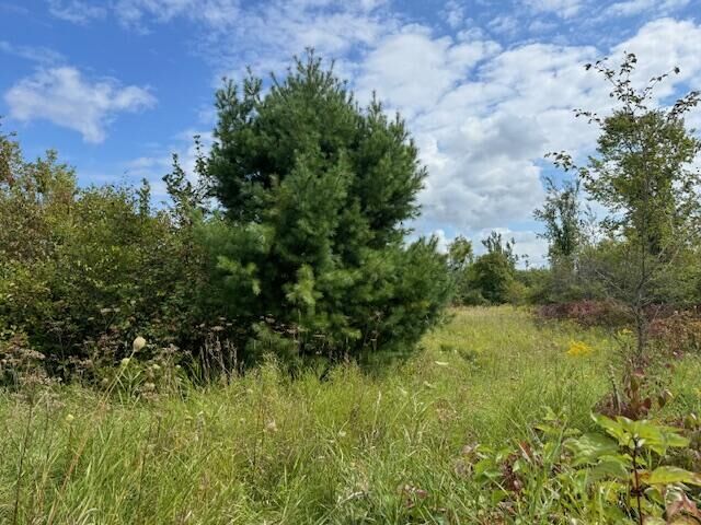 Property Photo:  Parcel 4 Vfw Rd  MI 49721 