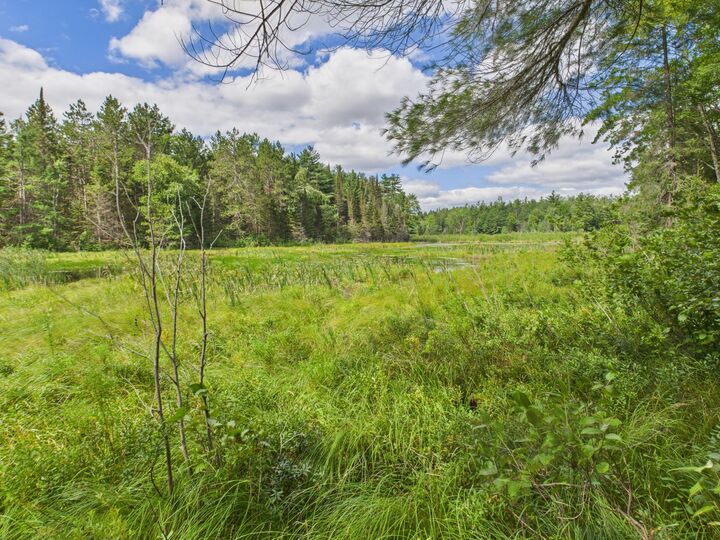 Property Photo:  15538 Bull Run Trail  MI 49799 