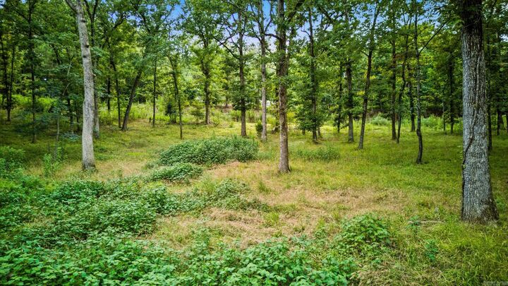 Property Photo:  Lot H1 Charlie Stover  AR 71968 