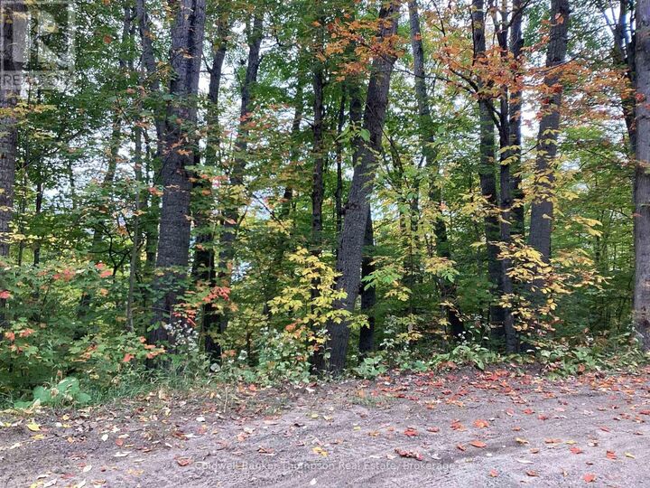 Photo de la propriété:  4 Snowshoe Lane  ON P0A 1L0 