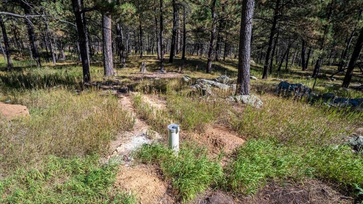 Property Photo: 24409 Milo Lane SD 57751