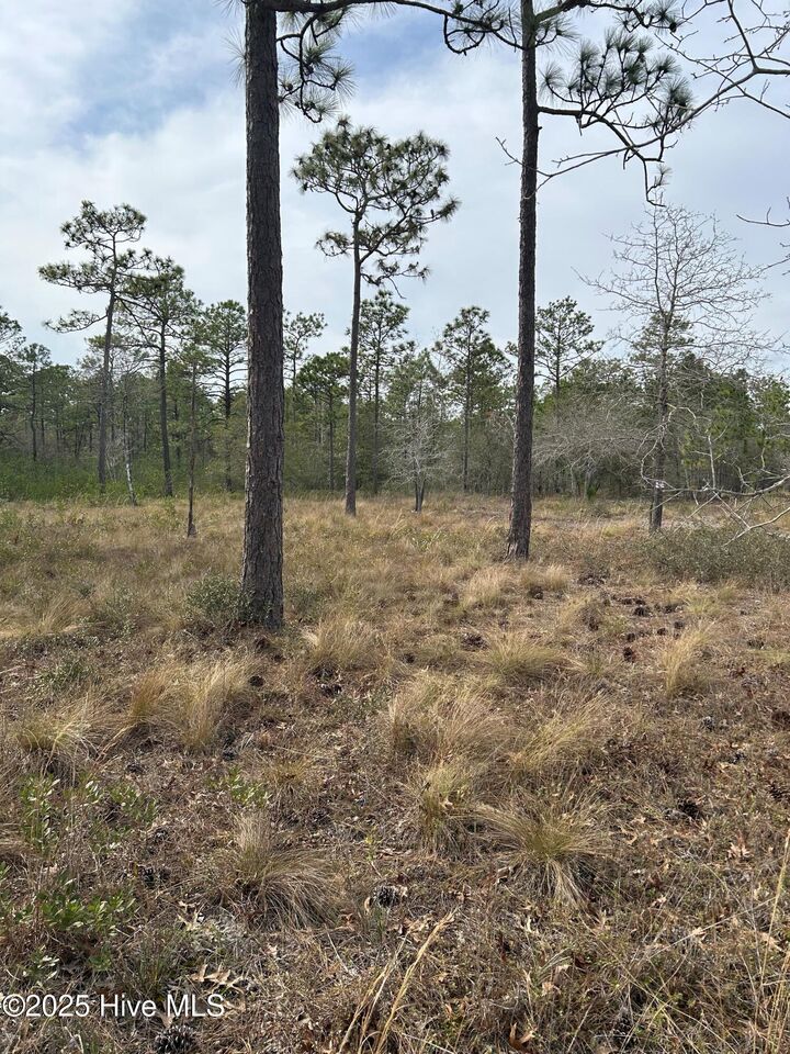 Property Photo: 0 Virginia Drive NC 28461