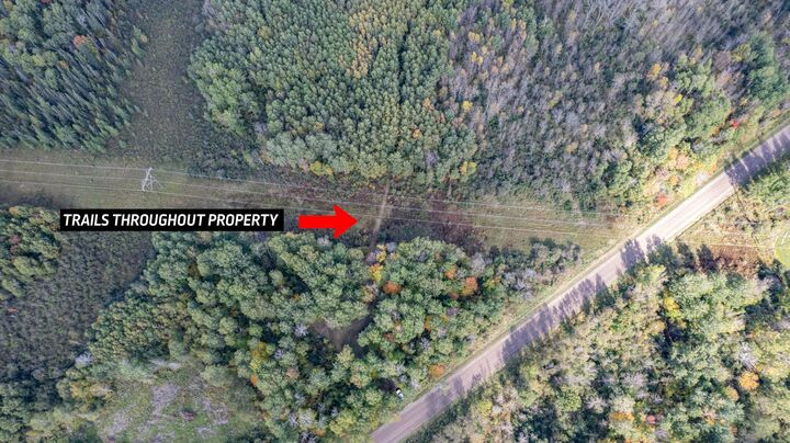 Property Photo: 11043 Highway 8 MN 55736
