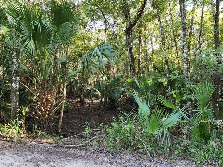 Property Photo: 13334 E Shawnee Trail FL 34450