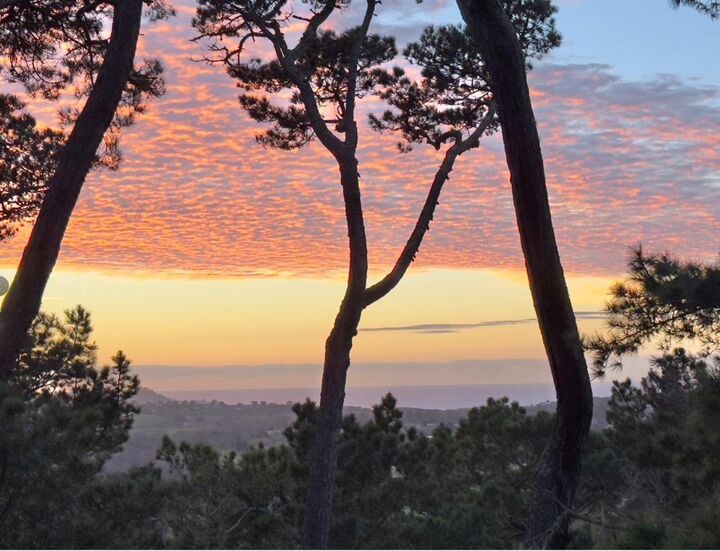Property Photo:  31 Del Mesa Carmel  CA 93923 