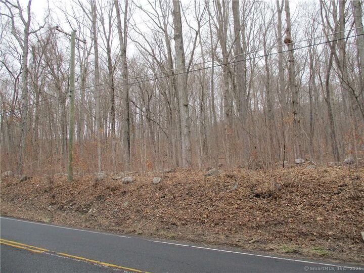 Boston Turnpike  Coventry CT 06238 photo
